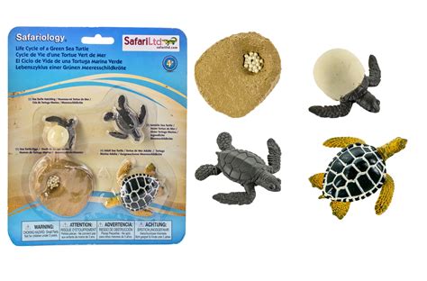 Buy Safari Ltd Life Cycle Of A Green Sea Turtle Online At