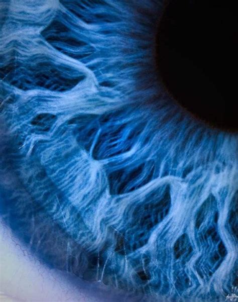 How To Take Amazing Eye Photography In Macro Blue Eyes Aesthetic