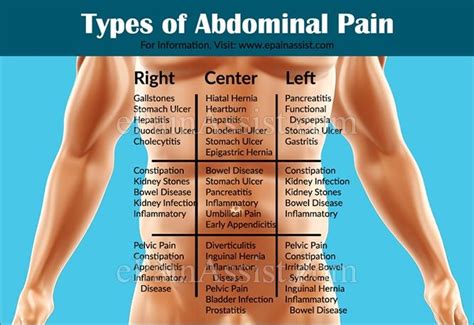 The function of the lungs is to oxygenate blood. 17 best Abdominal Pain images on Pinterest | Abdominal pain, Nursing and Human anatomy