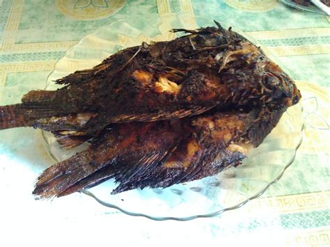 Memang resep masakan ikan bakar gurame mungkin akan agak merepotkan proses pembuatannya karena dibutuhkan penggunaan arang, tungku serta alat pemanggang lainnya. Resep Membuat Ikan Bakar Kecap Sederhana Yang Lezat