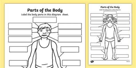 Body Part Labelling Worksheet Pack Teacher Made Pin On Free Printable Worksheets Miley Sherman