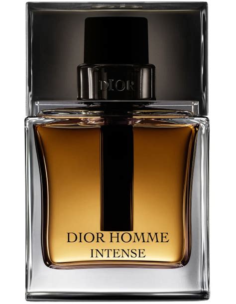 Top Best Smelling Sexiest Perfumes For Men