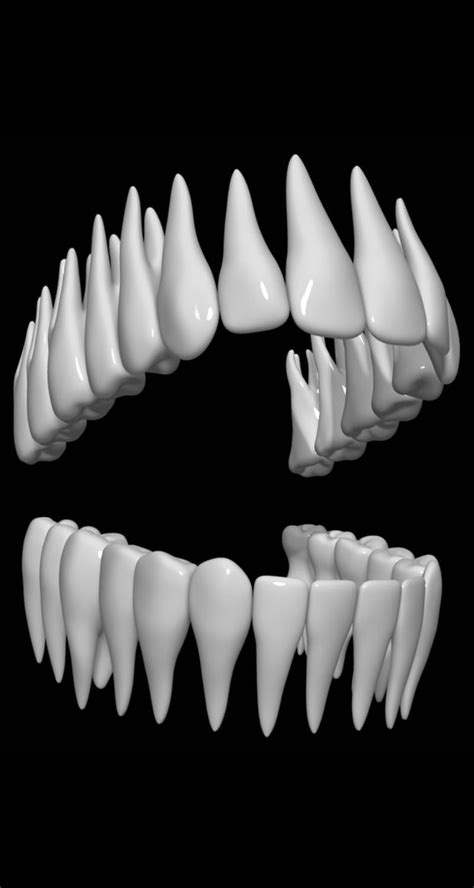Teeth 3d Model 3d Model Anatomy Bones Teeth