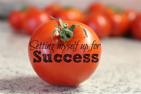 Setting Myself Up For Success My Daily Success Plan This Blogging
