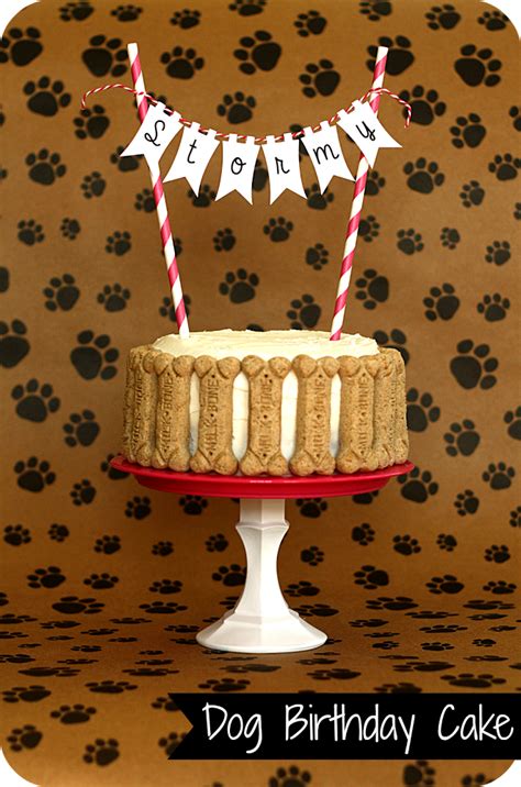 Make Your Dog A Birthday Cake Best Large Breed Puppy