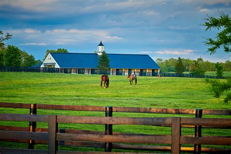 Horse Farm Pictures Download Free Images On Unsplash