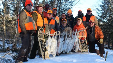Guided Maine Snowshoe Hare Huntssunrise Ridge Guide Service And Sporting