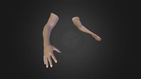 First Person Hands Rigged Download Free 3d Model By Davidfischer