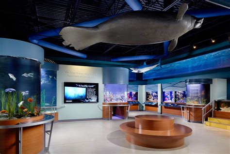 Aquariums South Florida Science Center And Aquarium Architecture