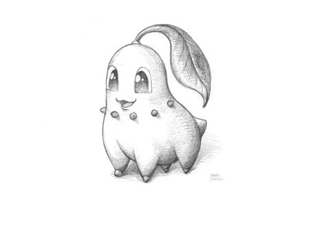 Paweł Somogyi Pokémon Sketches Pokemon Sketch Art Drawings