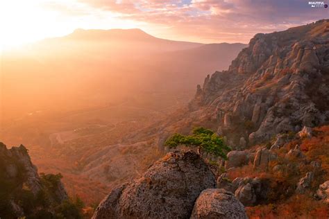 Viewes Mountains Valley Trees Rocks Pine Fog Beautiful Views