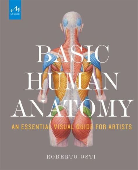 Basic Human Anatomy An Essential Visual Guide For Artistshardcover In