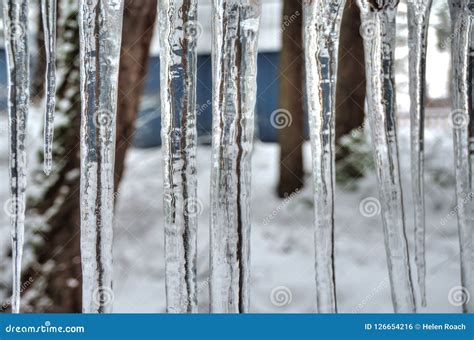 Thick Icicles Hanging From A Roof Stock Photo Image Of Muted Icicles