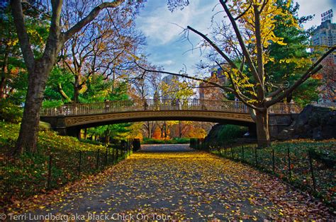 Central Park New York One Of The Worlds Most Famous Urban Parks Photos Boomsbeat