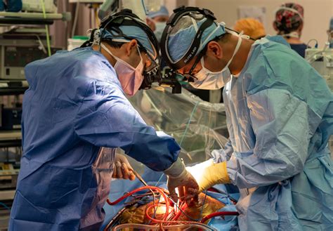 Musc Surgeons Perform First Dcd Heart Transplant In South Carolina Musc Health Charleston Sc