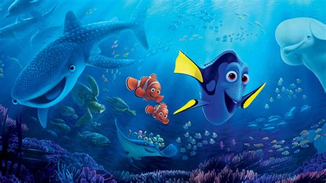 Fish Ultra Hd Finding Nemo Clownfish Underwater Hd Wallpaper
