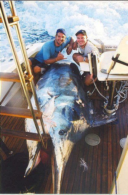 What Is The Biggest Fish Ever Caught On Rod And Reel