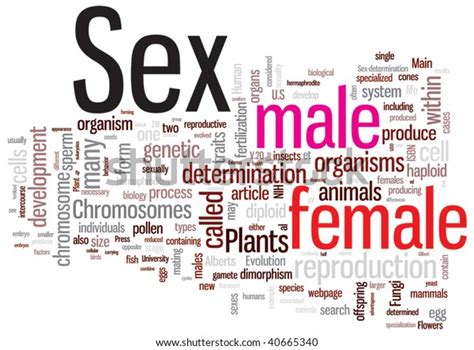 Sex Word Cloud Illustration Graphic Tag Stock Vector Royalty Free 40665340