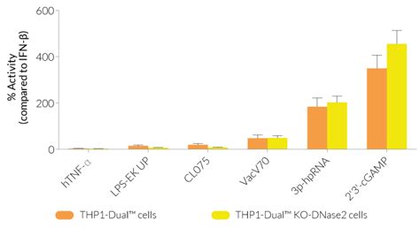 Dnase2 Knockout Nf κb And Ifn Reporter Thp1 Monocytes Invivogen