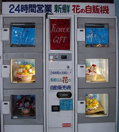30 Weird Items Found In A Japanese Vending Machine Page 6 True Activist