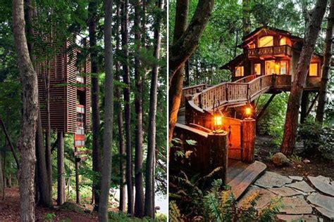 Dad suggested, we should build a treehouse! i stepped through the door and it was exactly as i pictured it! Tree-rific Treehouses - Honestly WTF