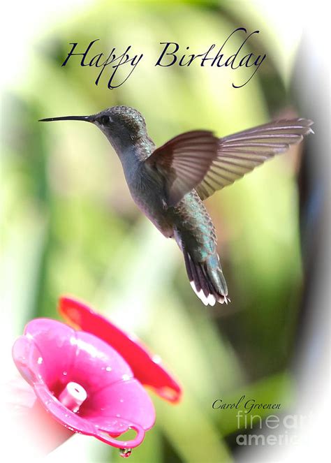 Hummingbird Birthday Card Photograph By Carol Groenen Pixels