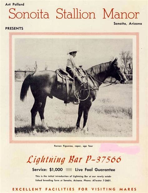 Lightning Bar Quarter Horse Stallion Aqha Horses American Quarter Horse
