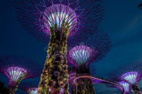 View Of Garden By The Bay At Night Singapore Editorial Photo Image