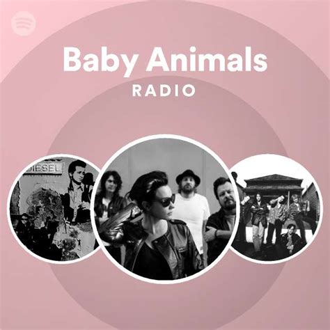 Baby Animals Spotify
