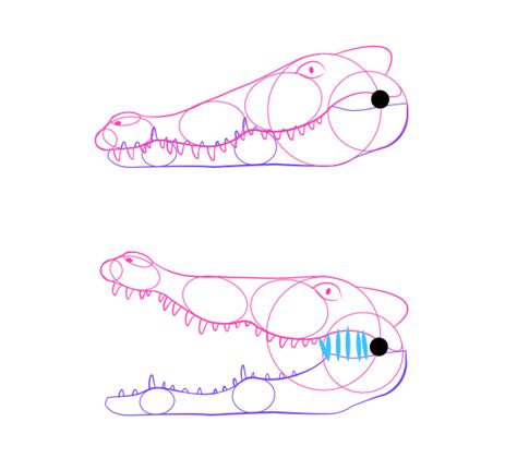 Drawing of paints and pencil. how to draw crocodile head jaws | Animal drawings ...