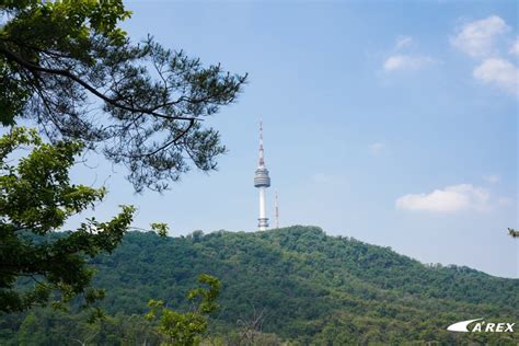 Looking to enjoy an event or a game while in town? AREX: Healing Course in Seoul Namsan Pine Trees Healing ...