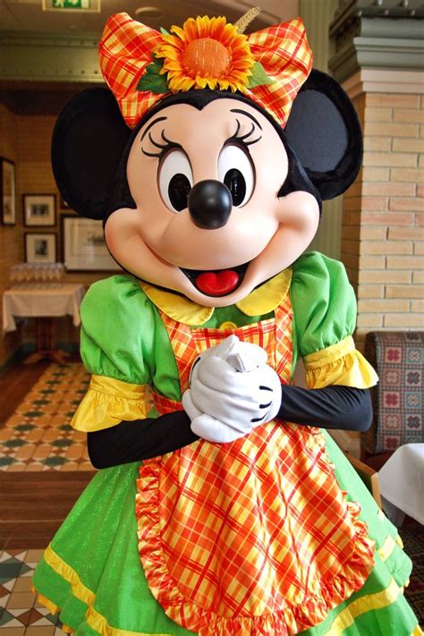 The Minnie Mouse Is Dressed In An Orange And Green Dress With A Flower