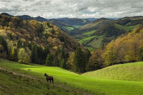 The 7 Main Mountain Ranges Of France