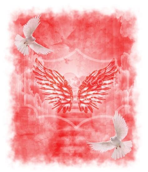 Two White Doves Flying In The Sky With Red And Pink Clouds Behind Them