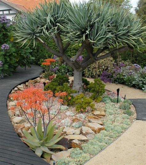 Love This Miniature Xeriscape Garden 😍 Follow Me For More Desert
