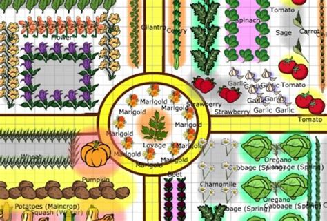 A vegetable garden plan is basically what plants you're planting where. 5 Easy Ways to Create a Stunning Vegetable Garden