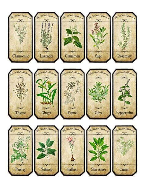 Vintage Inspired Assorted Herb Spice Food Tea Bottle Jar Labels