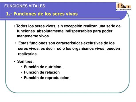 Ppt Funciones Vitales De Los Seres Vivos Powerpoint Presentation Free Download Id