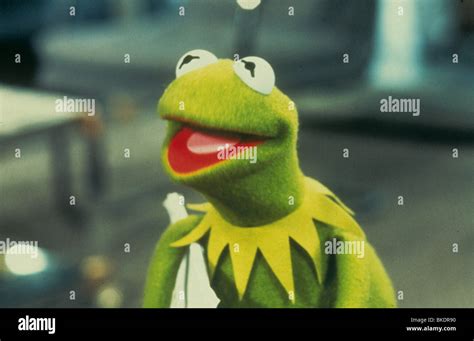 The Muppets Take Manhattan 1984 Kermit The Frog Mtm 012 Stock Photo