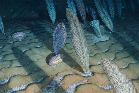 Stanford Researchers Unearth Why Deep Oceans Gave Life To The First Big