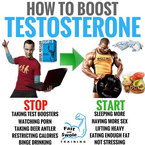 How To Increase Testosterone Exercise Stowoh