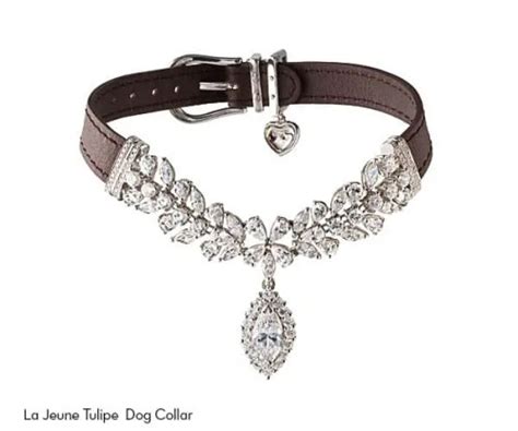 Worlds Most Expensive Real Diamond Dog Collars If Its Hip Its Here