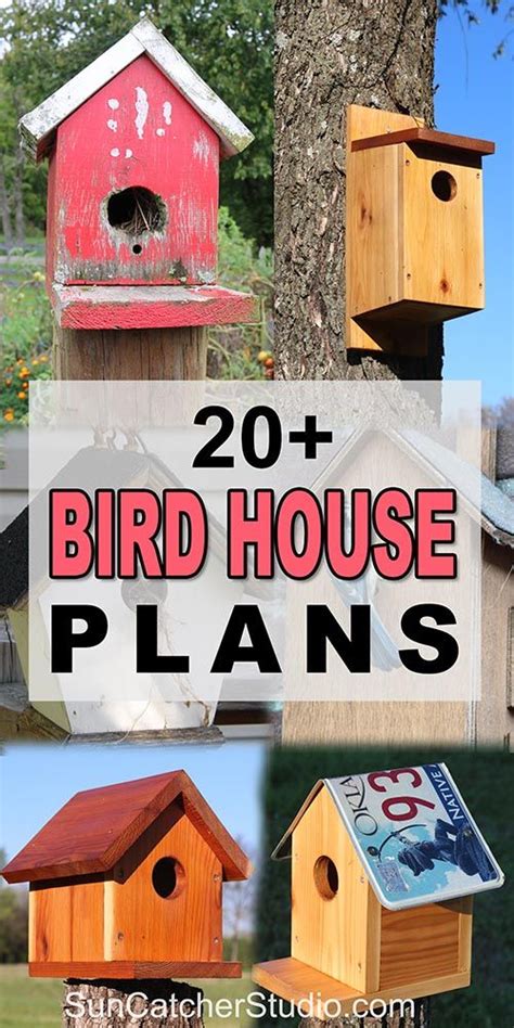 Decorate your garden for springtime. Collection of free, simple, easy to build birdhouse plans. | Bird house plans free, Bird house ...
