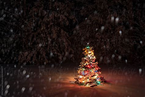 Snow Falling On Christmas Tree By Rob Sylvan Stocksy United