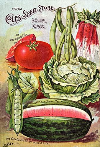 Seed Plant And Nursery Catalogs Directory At Farmers Market Online