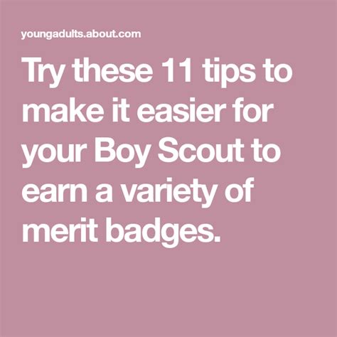 How To Make It Easier To Earn Boy Scout Merit Badges Boy