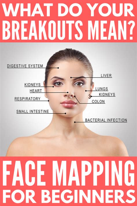 Face Mapping 101 What Do Your Breakouts Mean And How Can You Stop Them Natural Acne Remedies