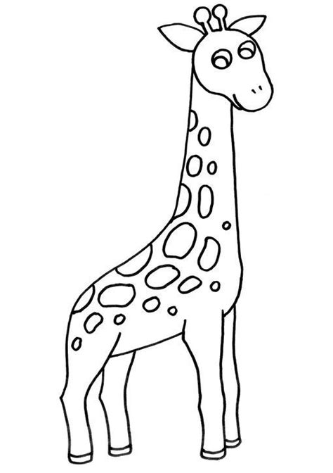 Desenhos Girafas Para Imprimir E Pintar