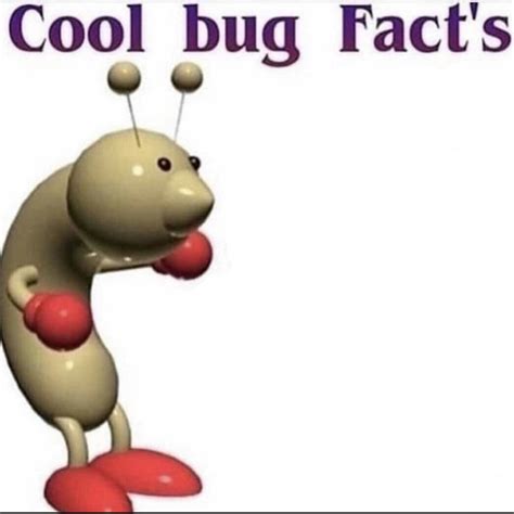 Cool Bug Facts Template Rmemetemplatesofficial