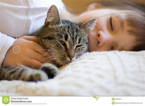 Cute Girl Napping With Cat Stock Photos Image 2226313